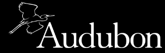 Audubon Website Logo